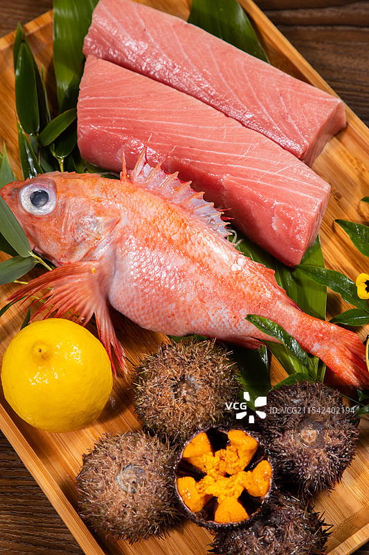 日料刺身拼盘海胆鱼子酱蓝鳍金枪鱼金吉鱼海鲜图片素材