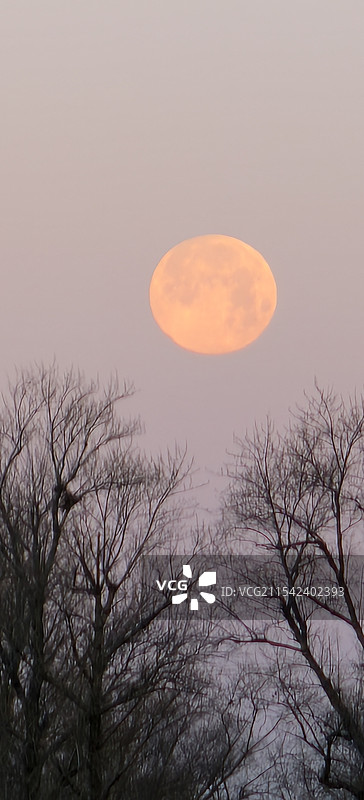 辰龙年岁末圆月图片素材