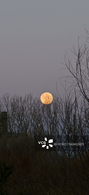 辰龙年岁末圆月图片素材