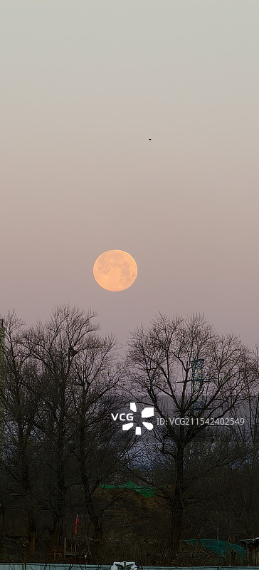 辰龙年岁末圆月图片素材