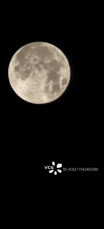 辰龙年岁末圆月图片素材