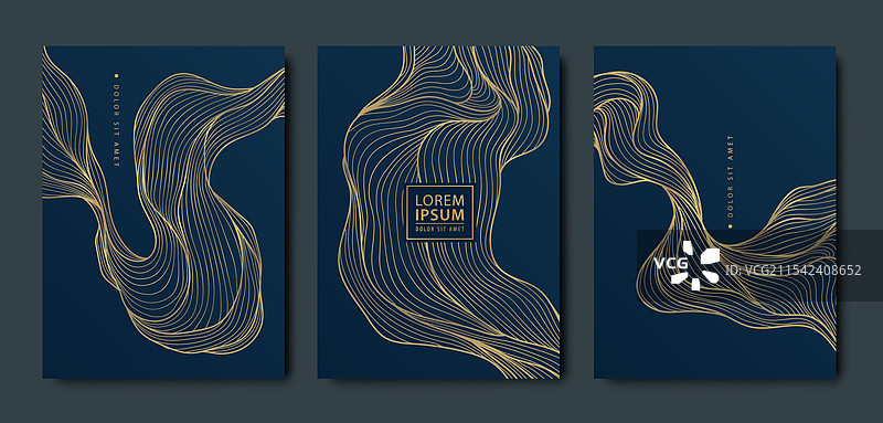 一组抽象的华丽艺术装饰线条波浪图片素材