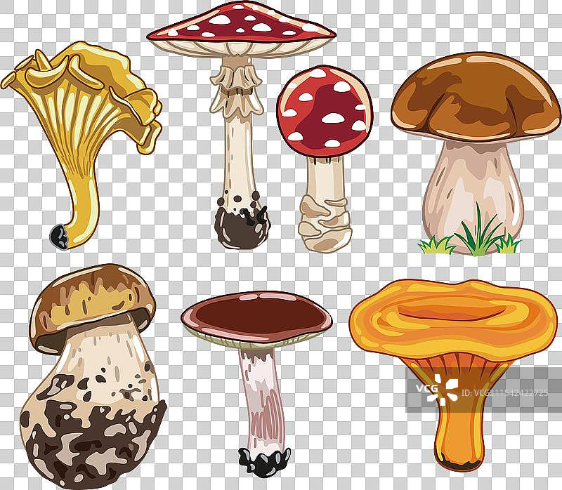 五彩斑斓的蘑菇组合图片素材