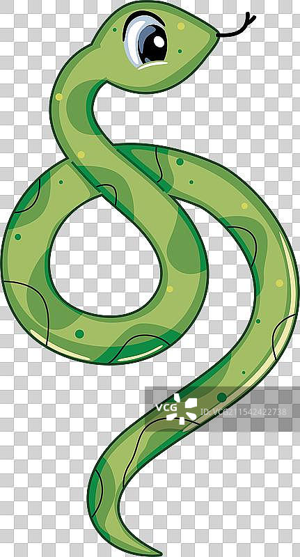 卡通绿色蛇，背景为白色图片素材
