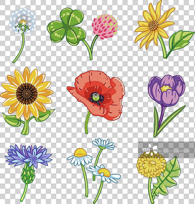 卡通风格的野花组合图片素材