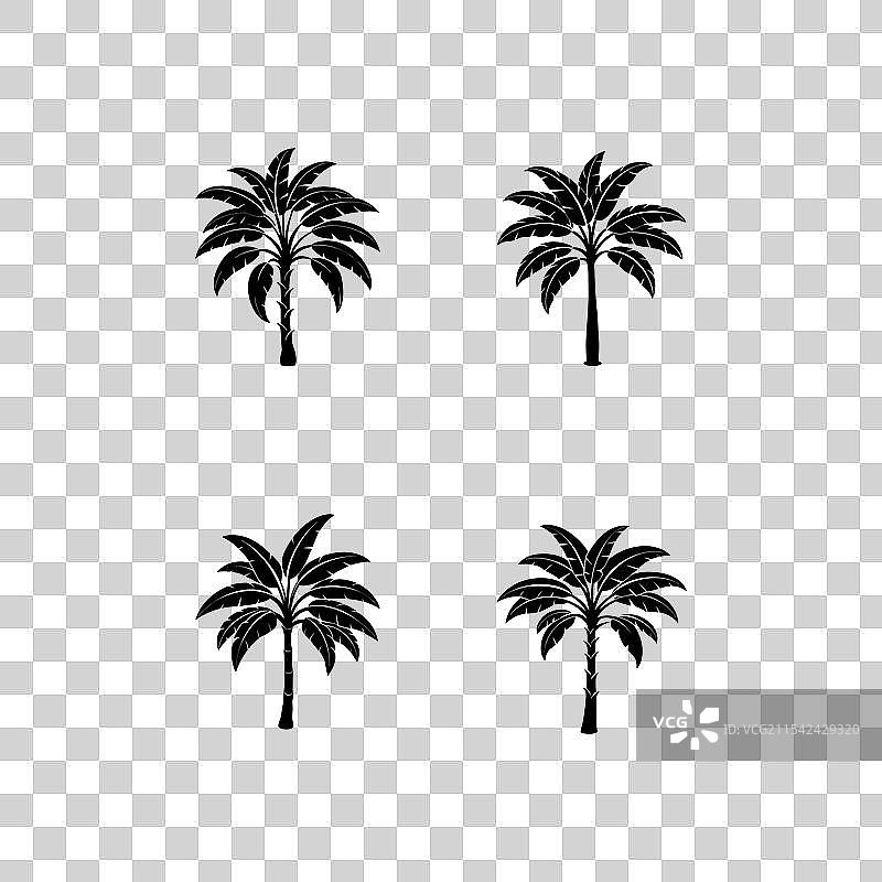 单色香蕉树图片素材