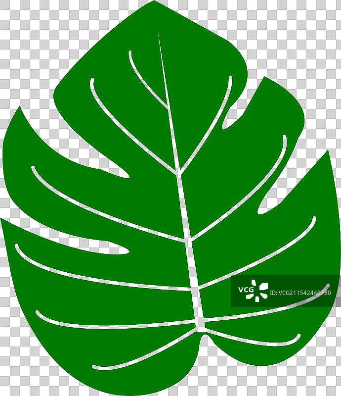 自然生态热带叶子标签装饰用的图片素材