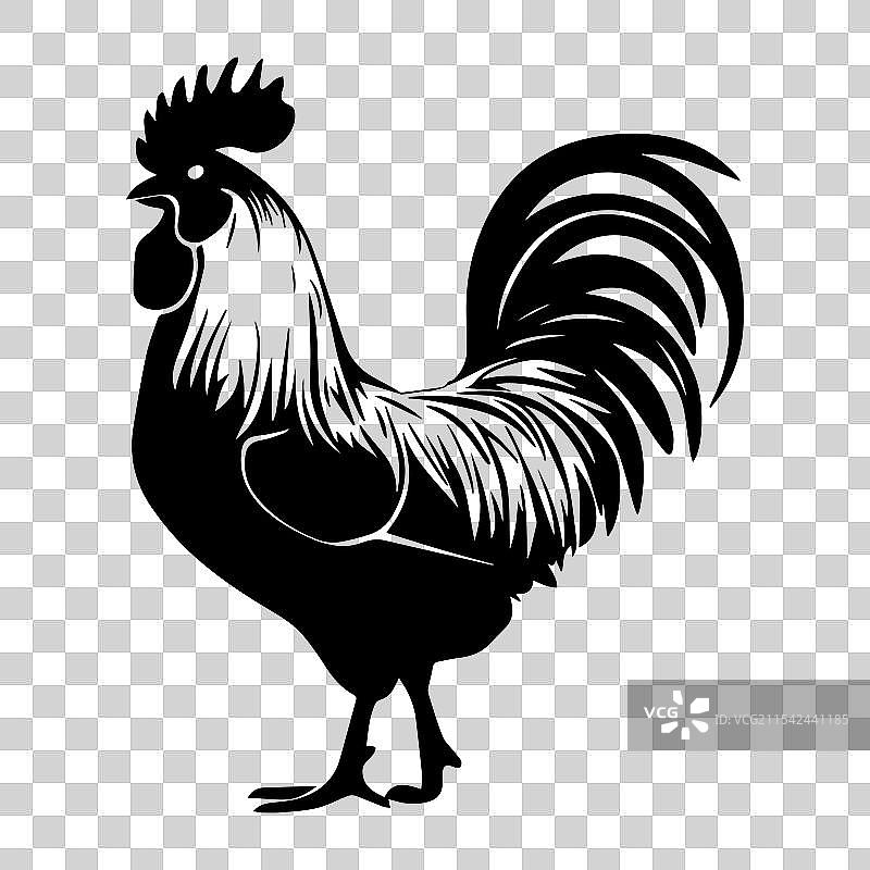鸡的轮廓图片素材