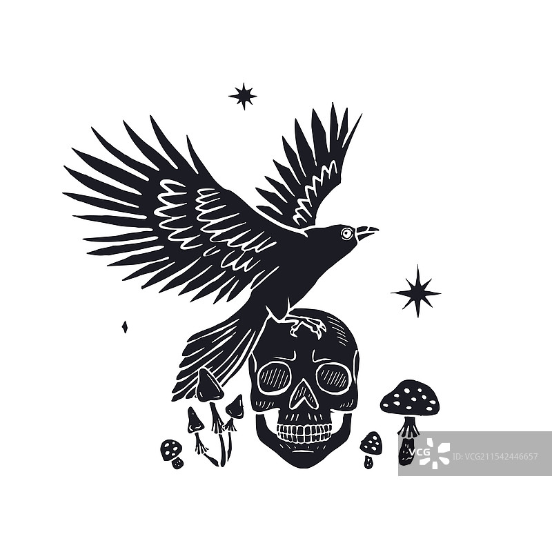 手绘单色墨水素描风格的乌鸦图片素材