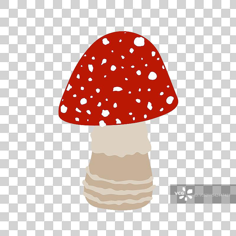 红色帽子和白色斑点的苍蝇伞蘑菇图片素材
