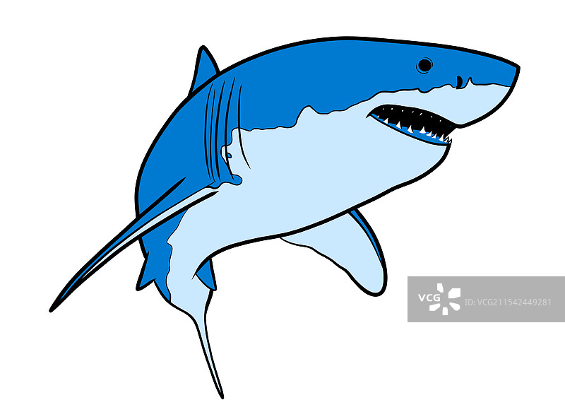 大白鲨图片素材