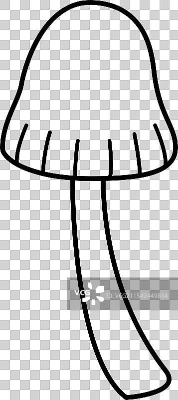 有毒蘑菇 秋季森林蘑菇图片素材