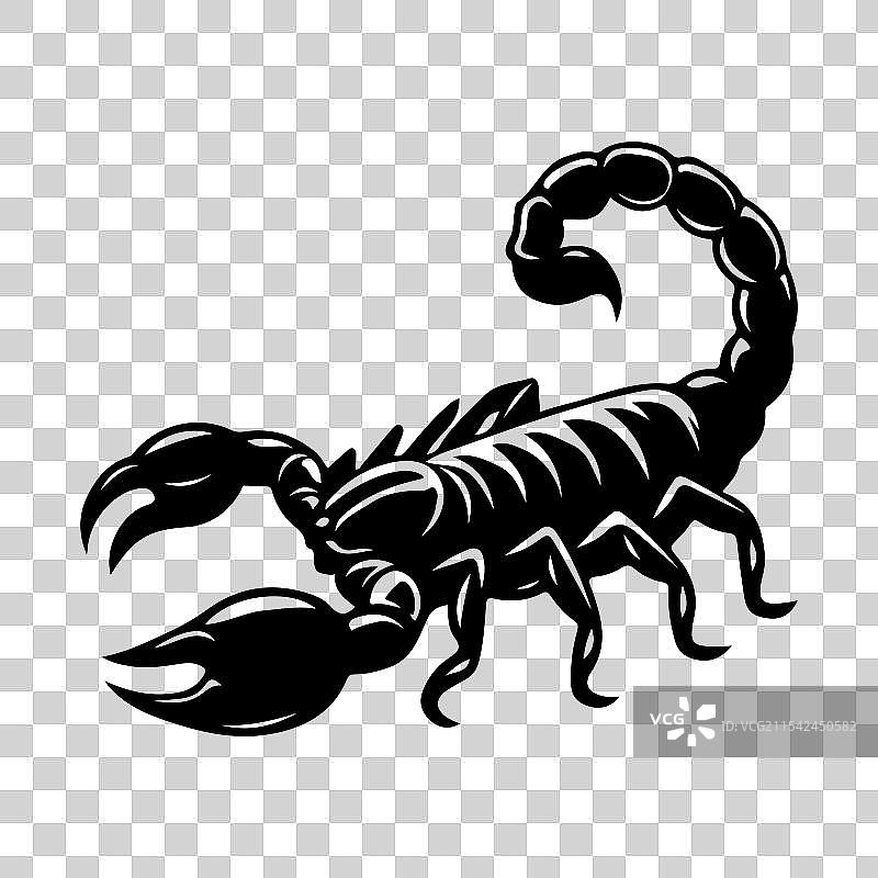 蝎子标志图标符号剪影图片素材