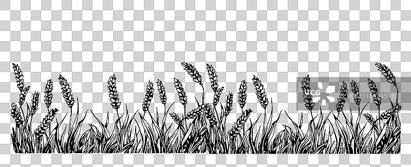 小麦边界村庄风景图片素材