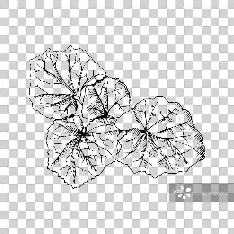 这幅黑白线条画的图片素材