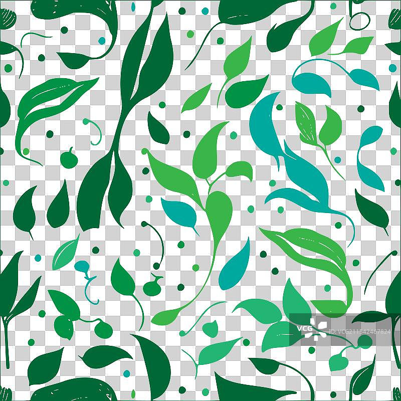 甜豌豆花图案抽象无缝色彩图片素材