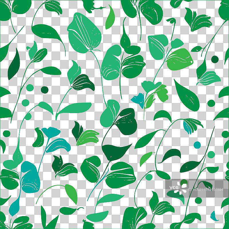 甜豌豆花图案抽象无缝色彩图片素材