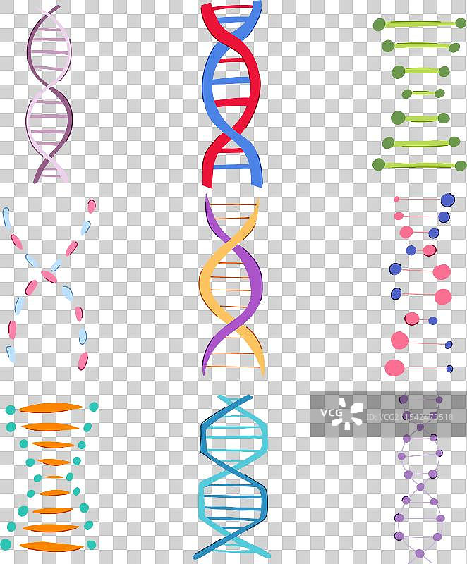 卡通DNA螺旋结构套装图片素材
