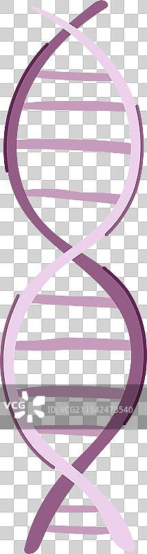 卡通DNA螺旋图片素材