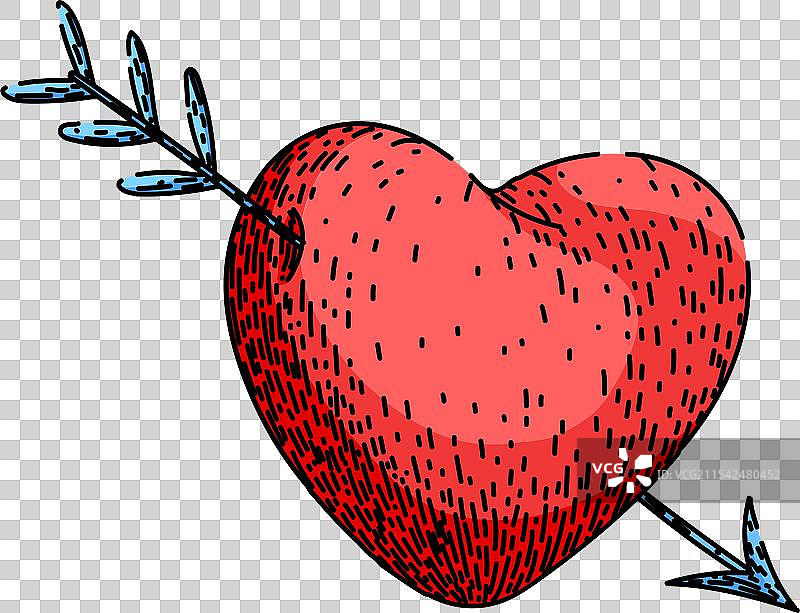 手绘心血管心脏素描图片素材