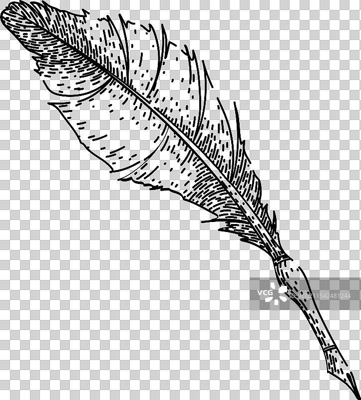 手绘的蘸水笔素描图片素材