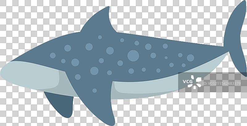 鲸鲨在水下游泳，嘴巴张开图片素材