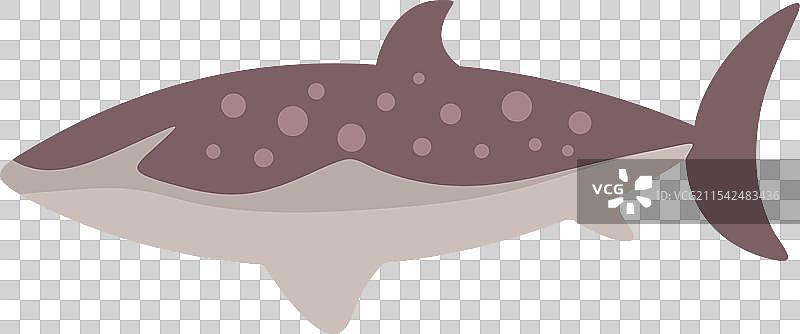 极简风格的鲸鲨在水下游泳图片素材