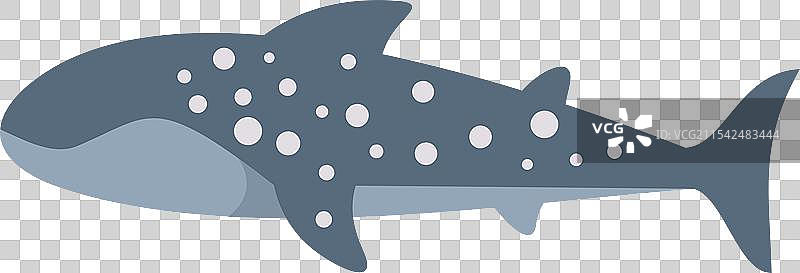 鲸鲨在水下游泳，嘴巴张开图片素材