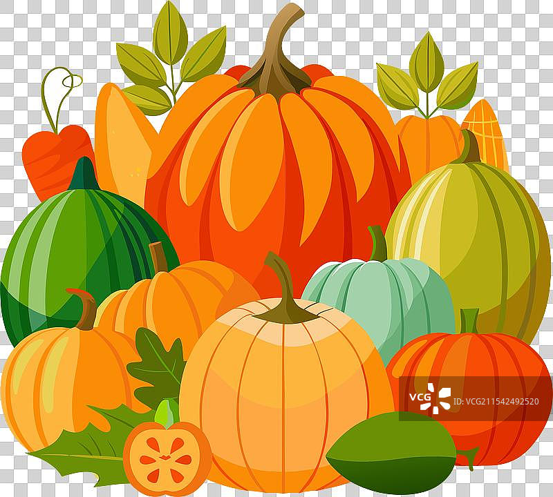 秋季南瓜丰收图片素材