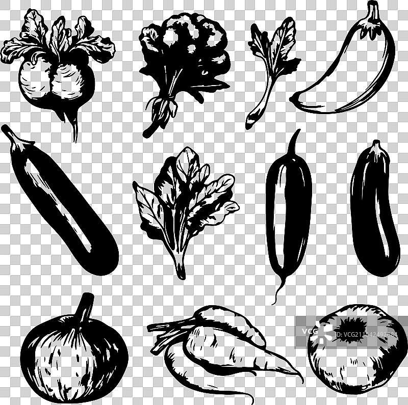 手绘蔬菜套装图片素材