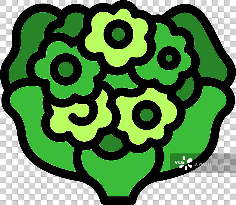 绿色罗马花椰菜花朵形成自然形态图片素材