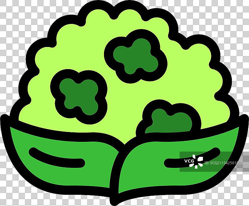 绿色罗马花椰菜花朵生长图标图片素材