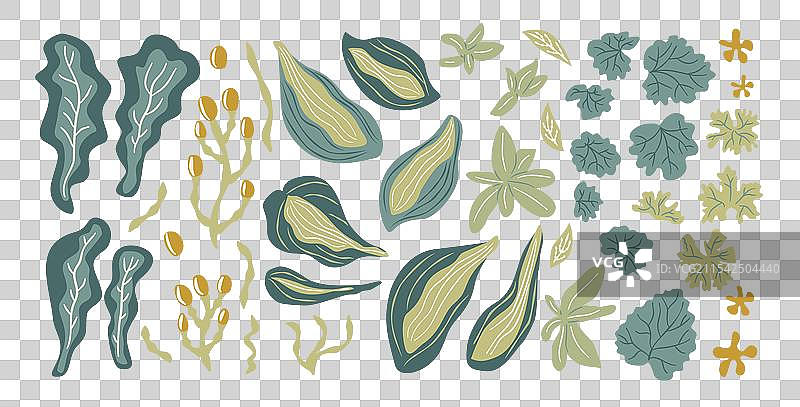 色彩斑斓的风格化叶子和植物组合图片素材