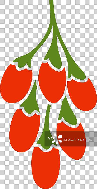 枸杞莓图片素材