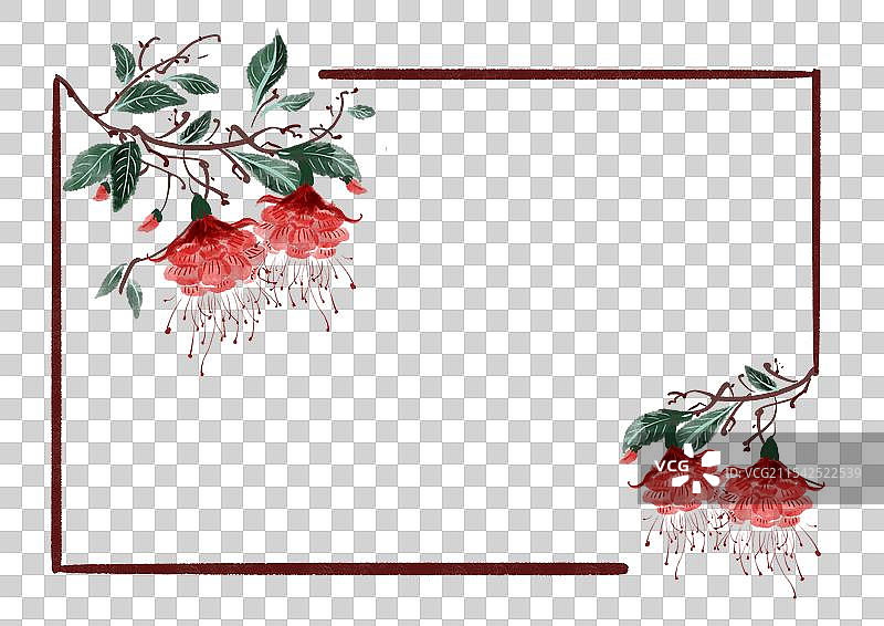 古风二十四节气花卉插画边框-小雪灯笼花图片素材