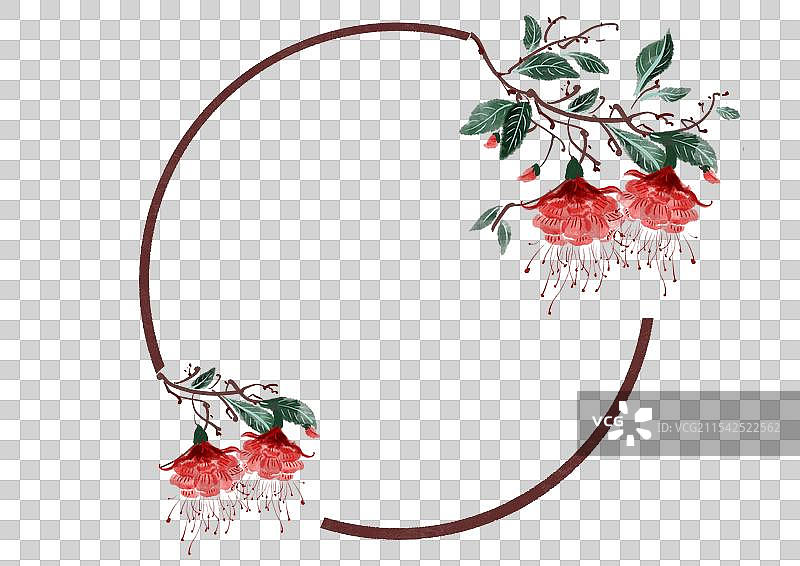 古风二十四节气花卉插画边框-小雪灯笼花图片素材