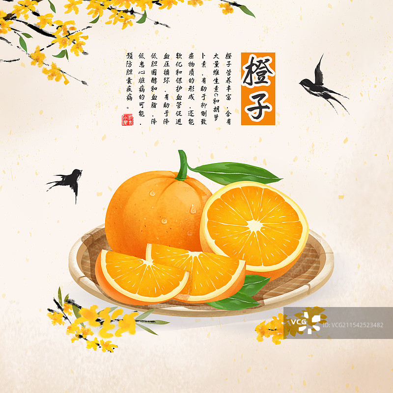 立春时节应季水果 柑橘类橙子插画海报图片素材