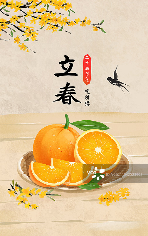 立春时节应季水果 柑橘类橙子插画海报图片素材