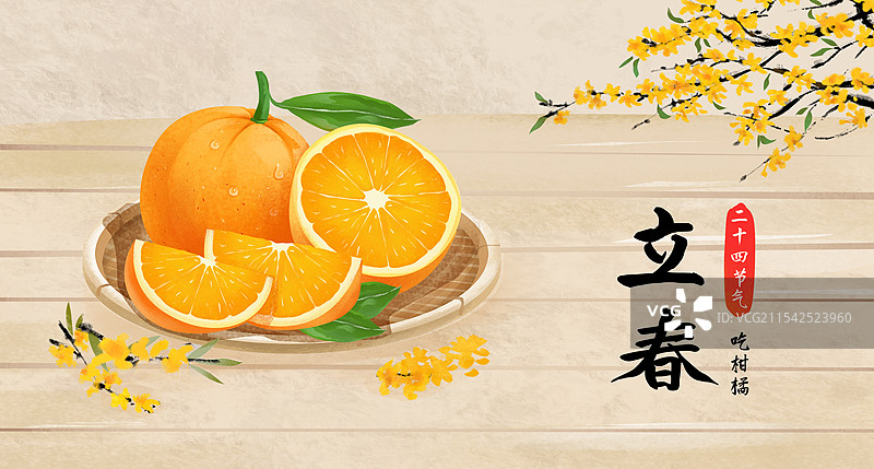 立春时节应季水果 柑橘类橙子插画海报图片素材