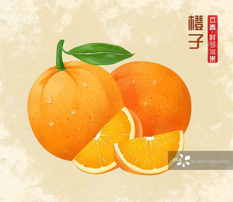 柑橘类水果橙子插画海报图片素材