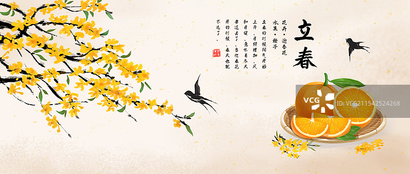 立春时节应季水果 柑橘类橙子插画海报图片素材