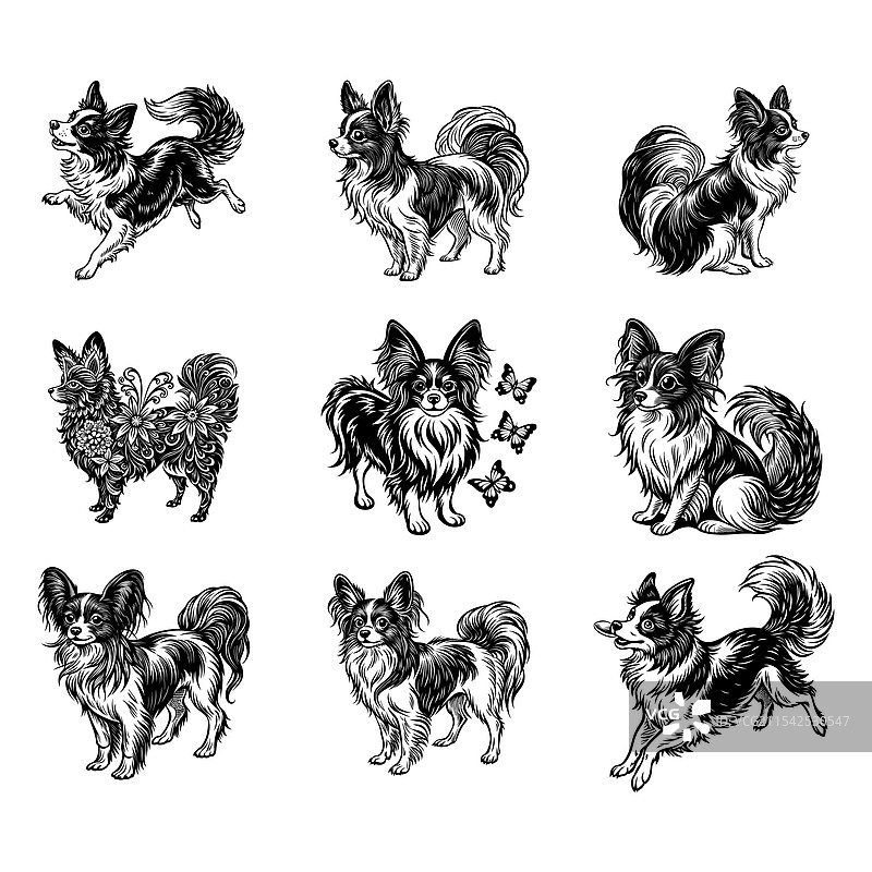 巴比伦犬图片素材