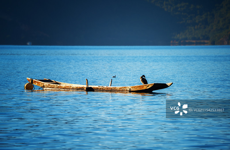 泸沽湖女神湾猪槽船水鸟日落图片素材