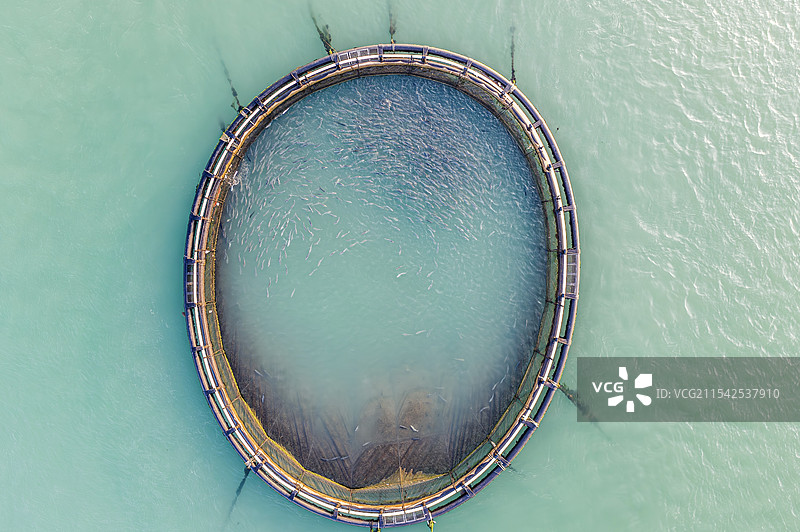 东山岛鱼排养殖图片素材