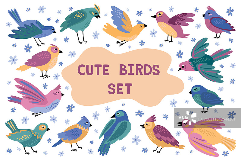 可爱的鸟儿，柔和的森林动物，爱与和平图片素材