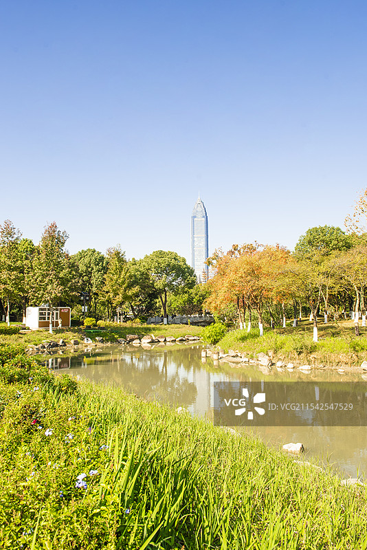园林风景 温州白鹿洲公园 温州 温州城市风光 温州市区图片素材