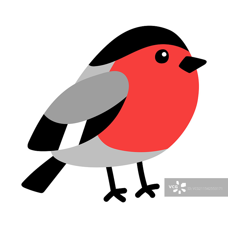 红色羽毛的冬季公鸟卡通画图片素材