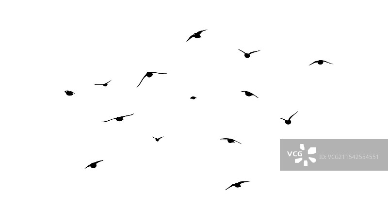飞翔的鸟类剪影群体手绘图图片素材