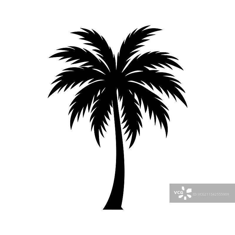 黑白棕榈树剪影图片素材
