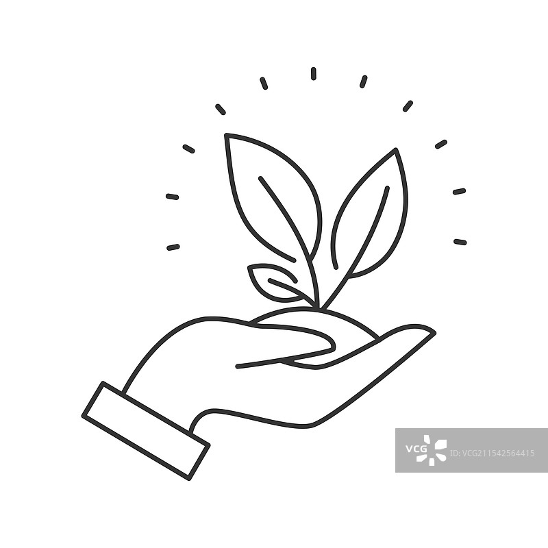 手中握着植物叶子的环保手势图片素材